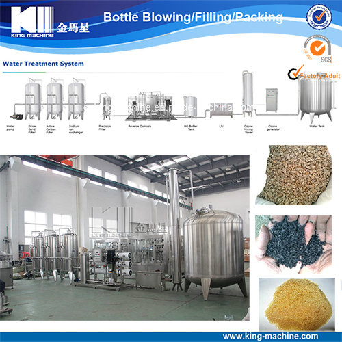 Pure Water Treatment Plant for Purification